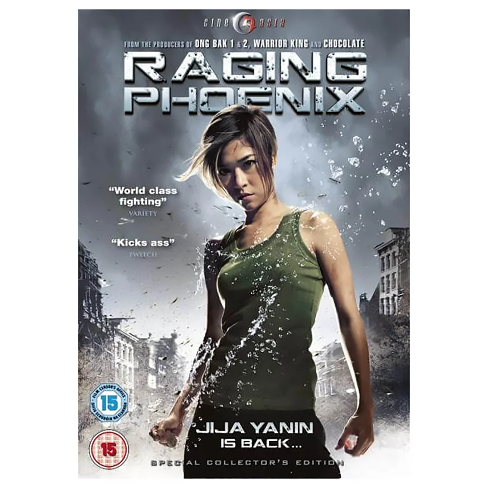 Raging Phoenix Bild 1