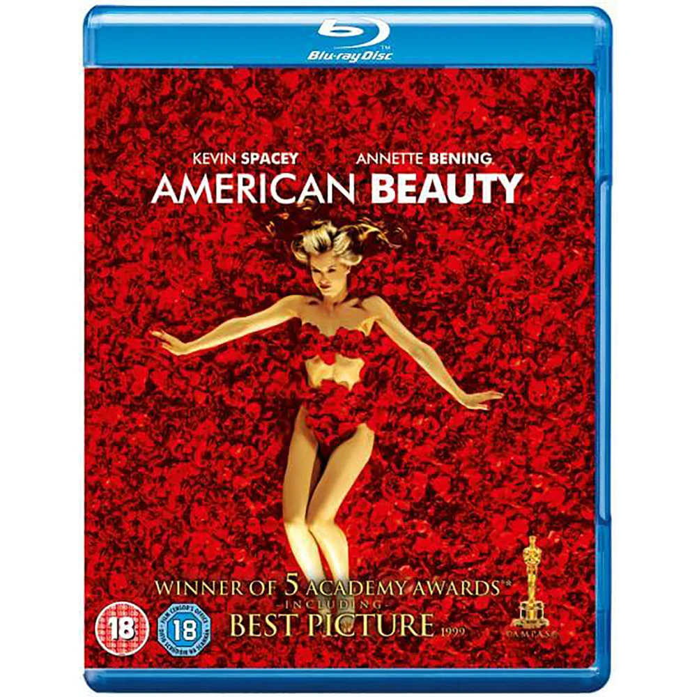 American Beauty Bild 1