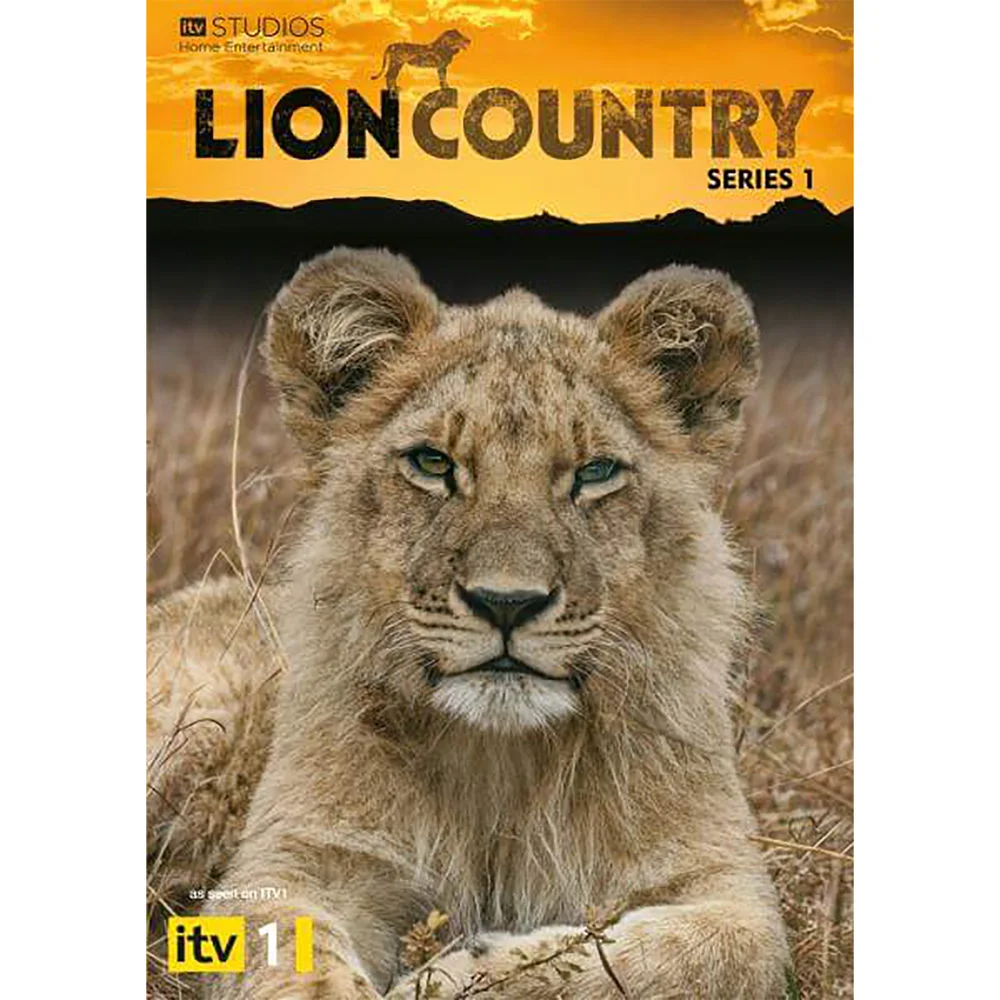 Lion Country Bild 1