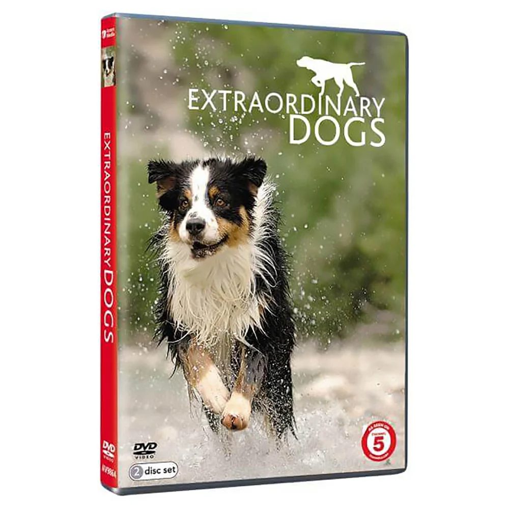 Extraordinary Dogs Bild 1