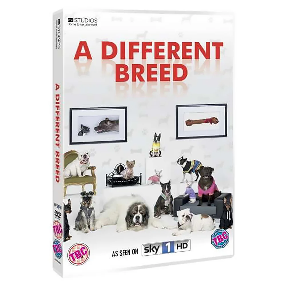 A Different Breed Bild 1