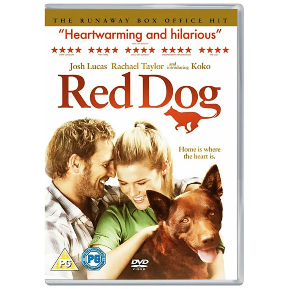 Roter Hund Bild 1