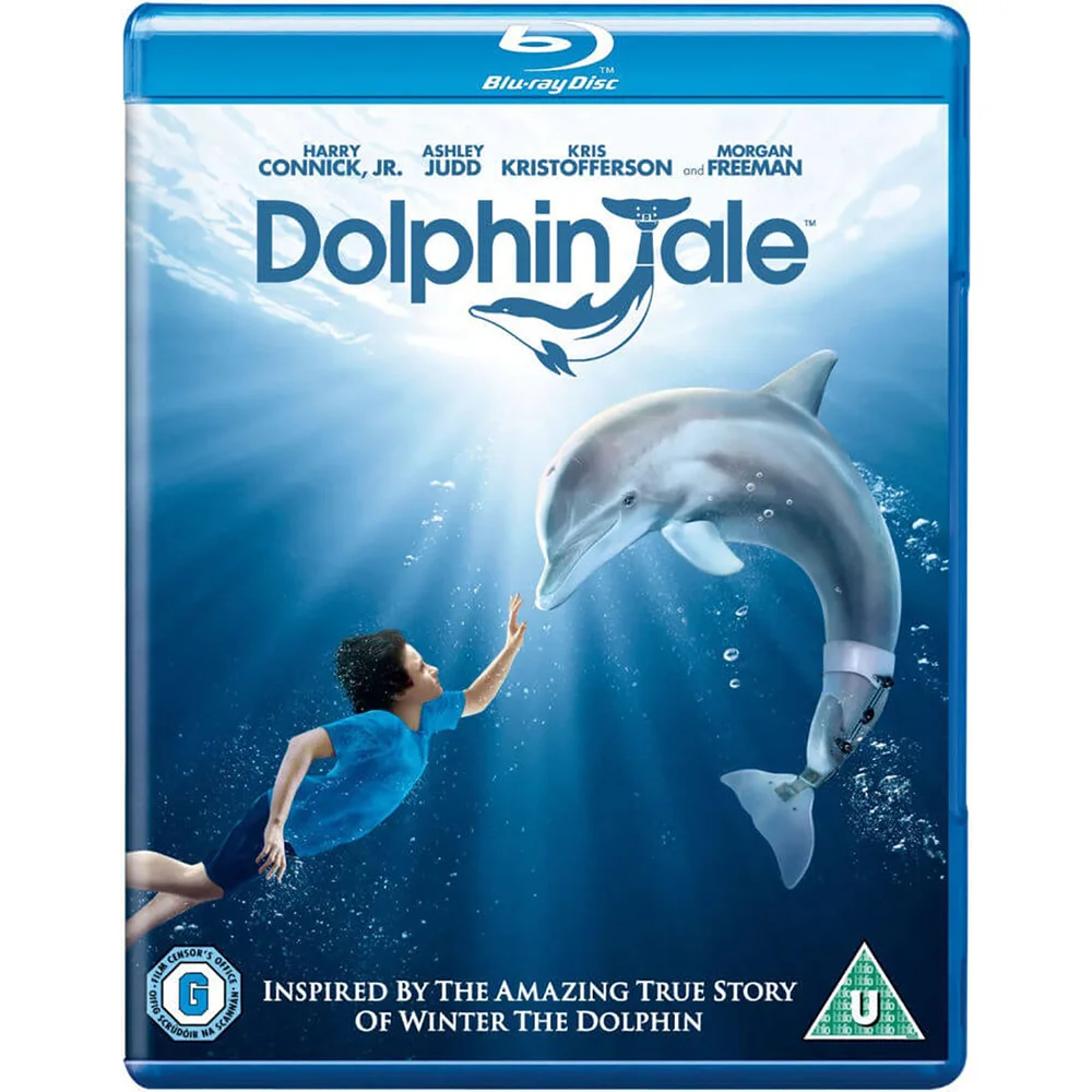 Dolphin Tale Bild 1