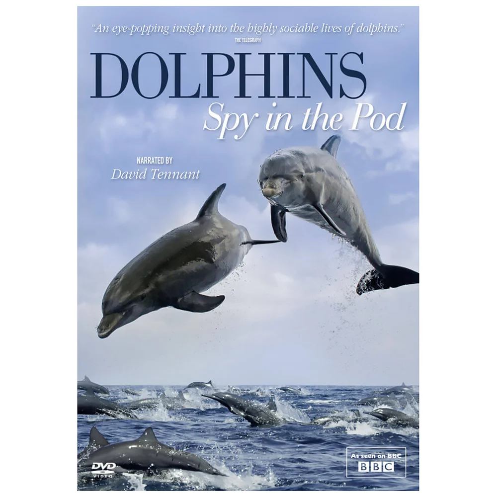 Dolphins Spy in the Pod Bild 1