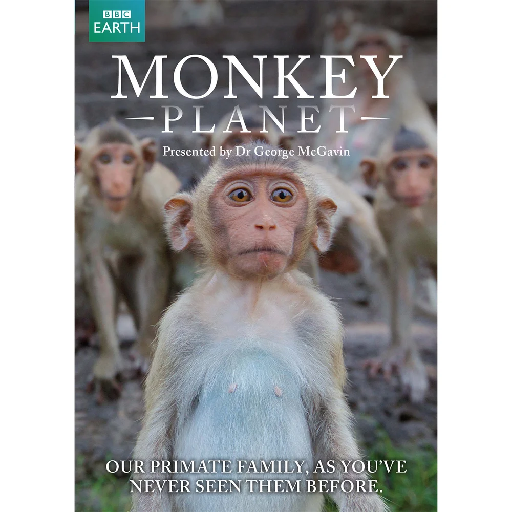 Monkey Planet Bild 1