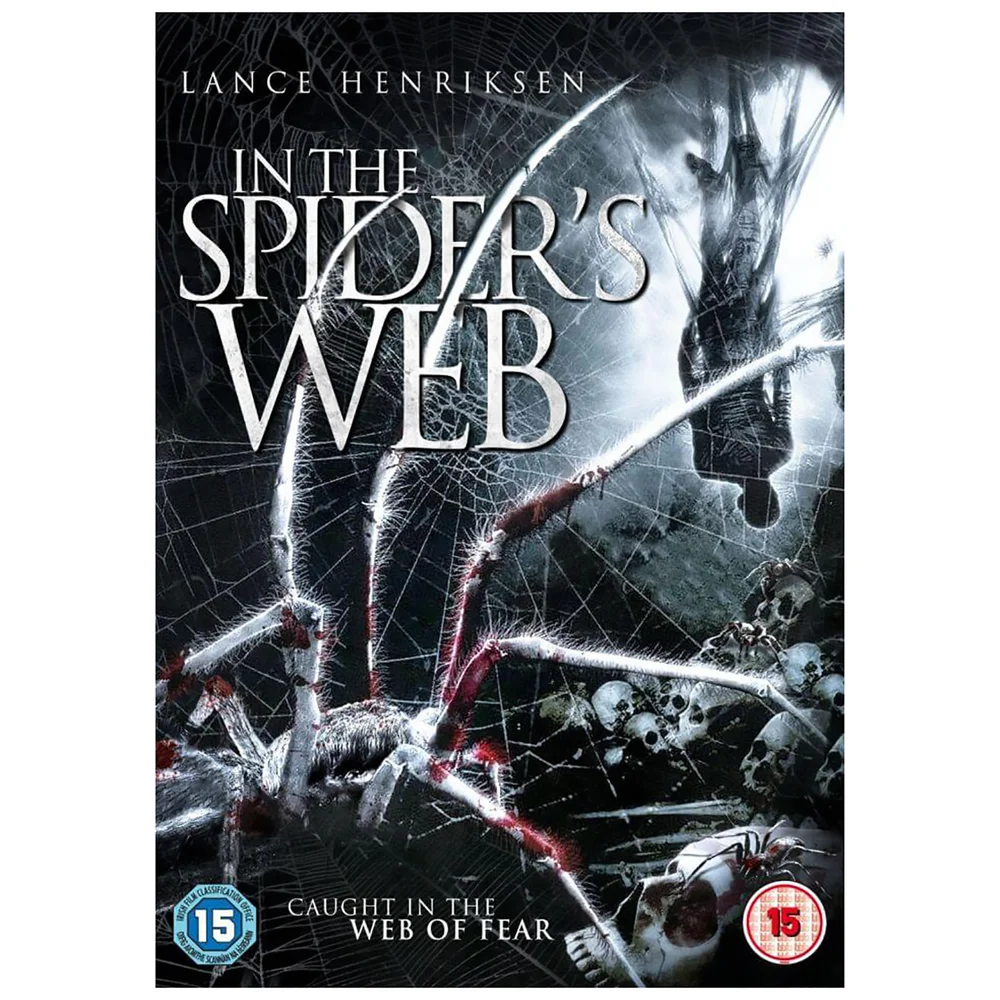 In the Spider's Web Bild 1