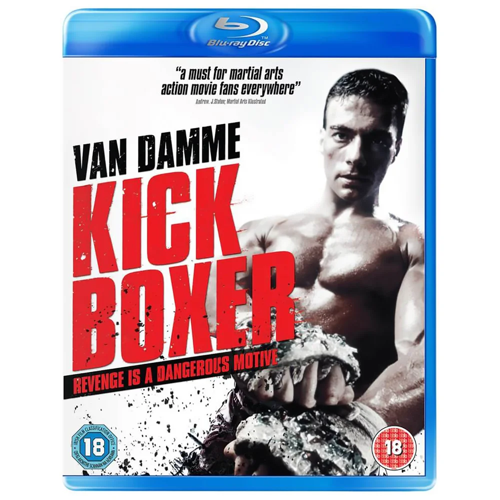 Kickboxer Bild 1