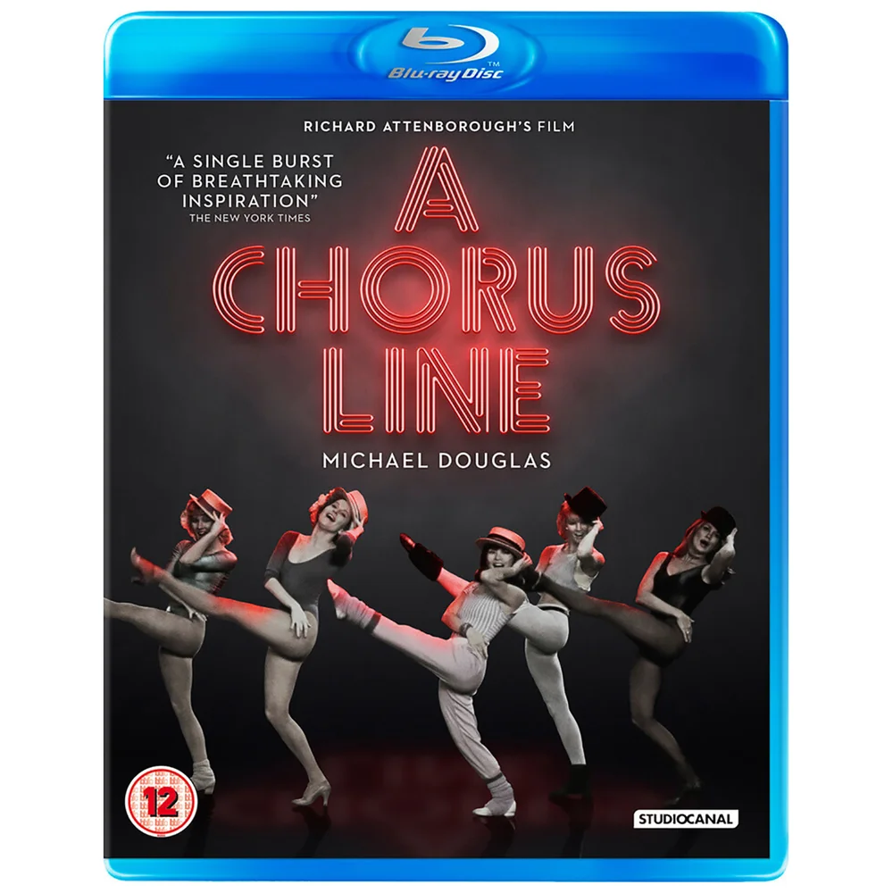 A Chorus Line: 30th Anniversary Edition Bild 1