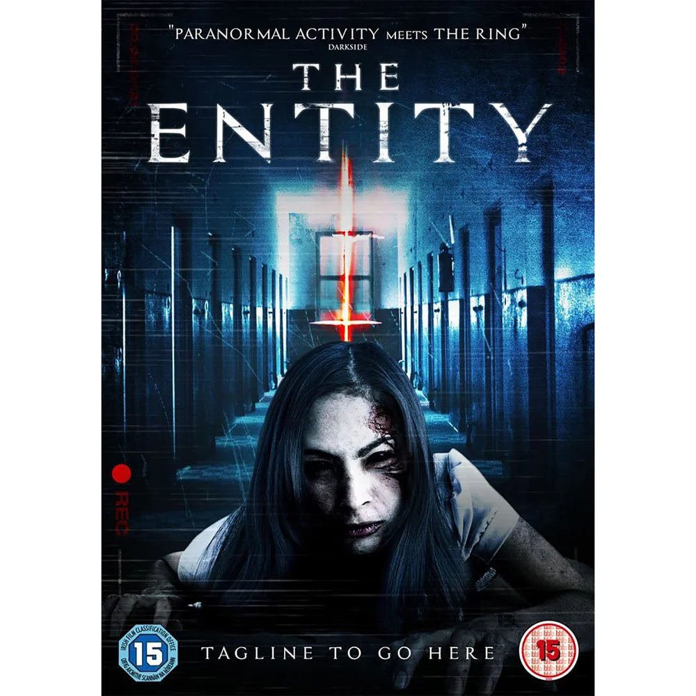 Die Entität Bild 1