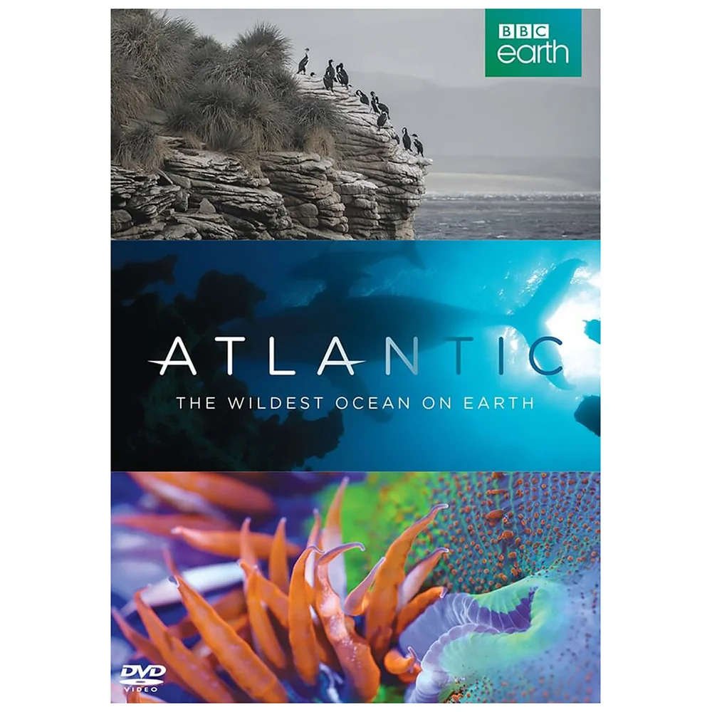 Atlantic: The Wildest Ocean on Earth Bild 1