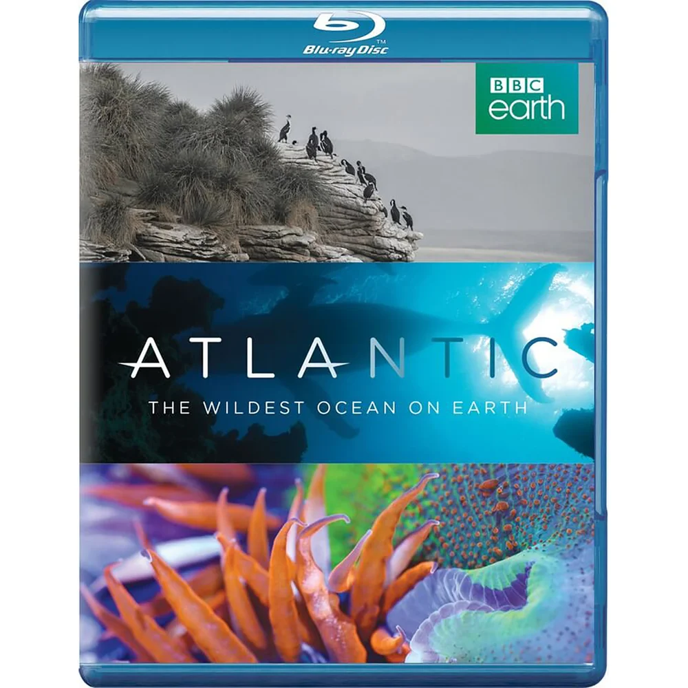 Atlantic: The Wildest Ocean on Earth Bild 1