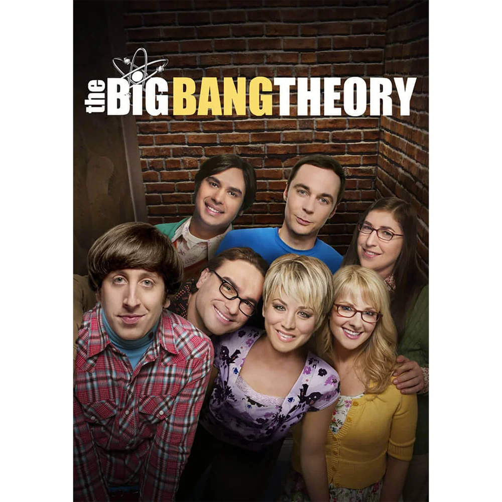 Big Bang Theory Series 1-9 Bild 1