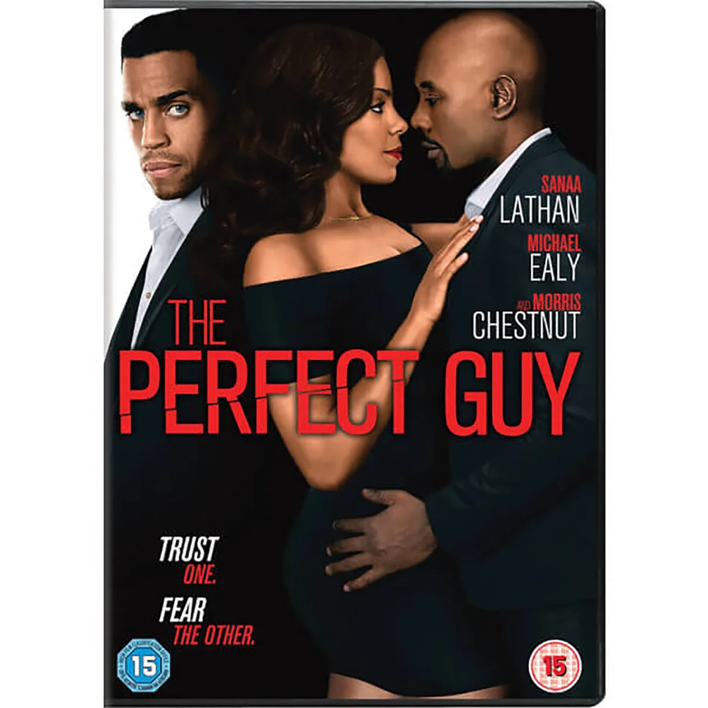 The Perfect Guy Bild 1
