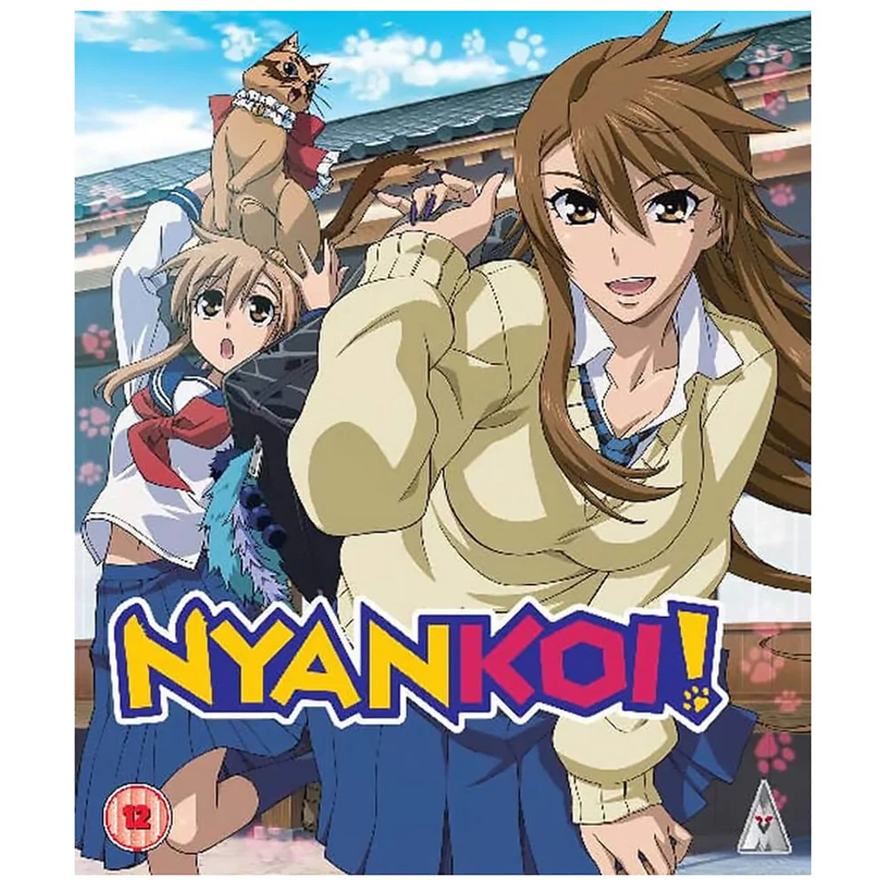 Nyankoi! Collection Bild 1