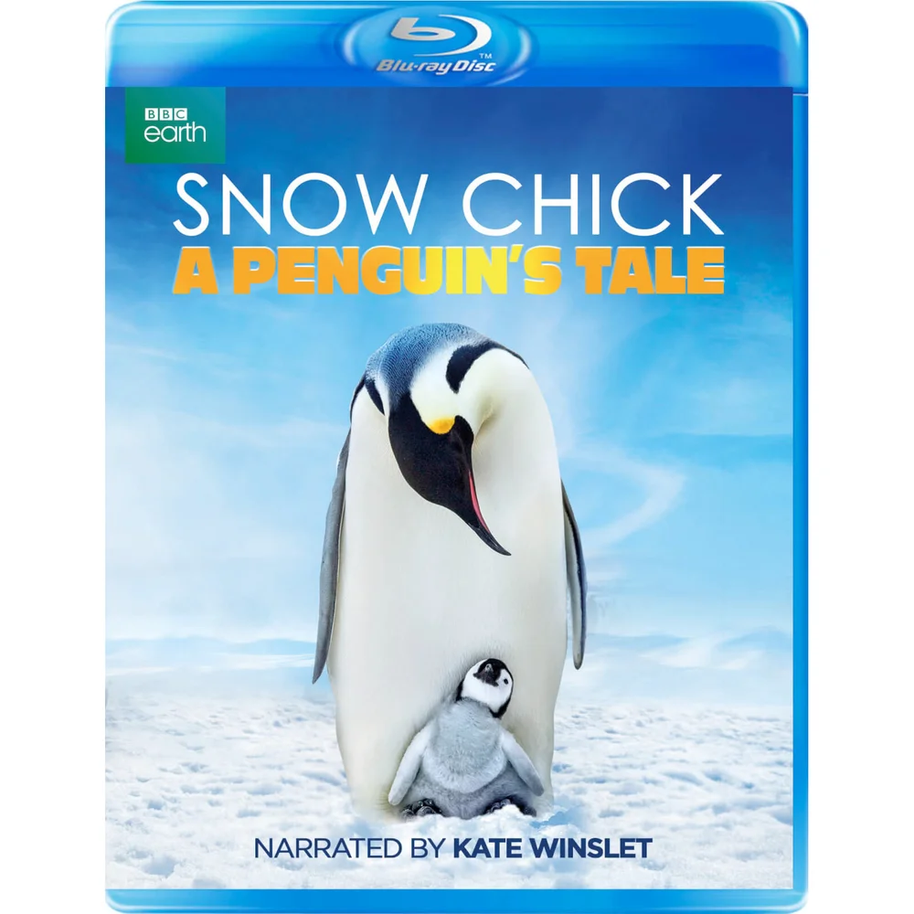 Schneeküken: Die Geschichte eines Pinguins Bild 1