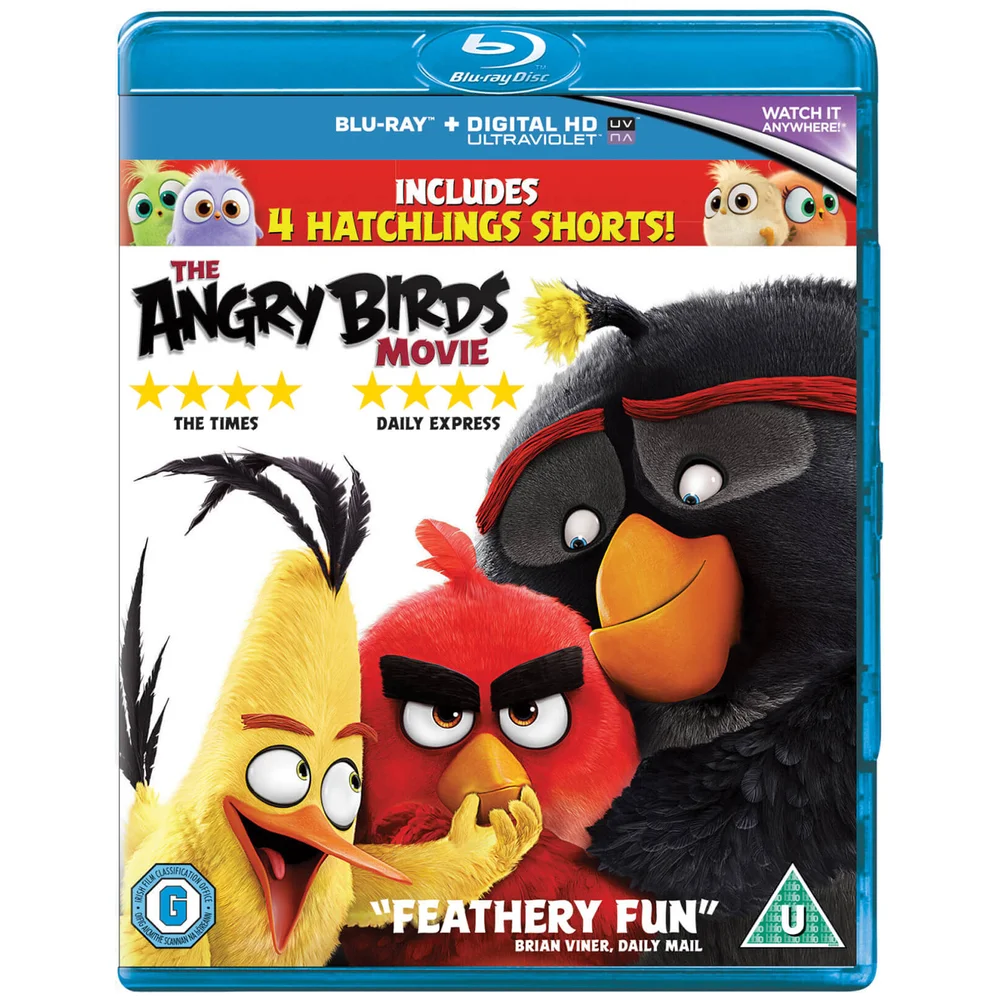 Der Angry-Birds-Film Bild 1