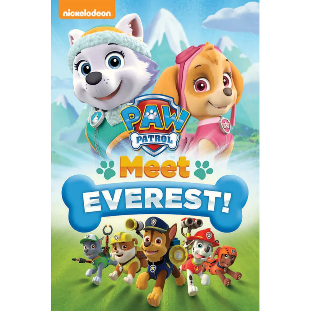 Paw Patrol: Meet Everest! Bild 1