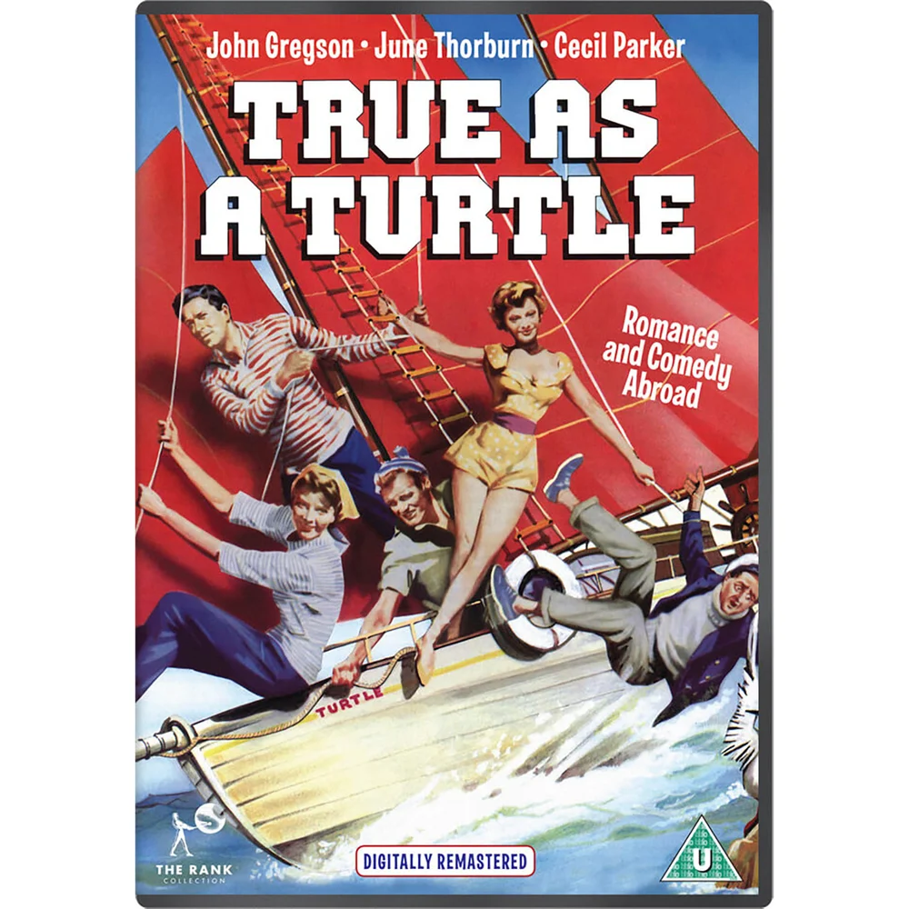 Wahr wie eine Schildkröte Bild 1