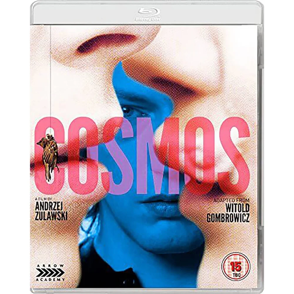 Kosmos Bild 1