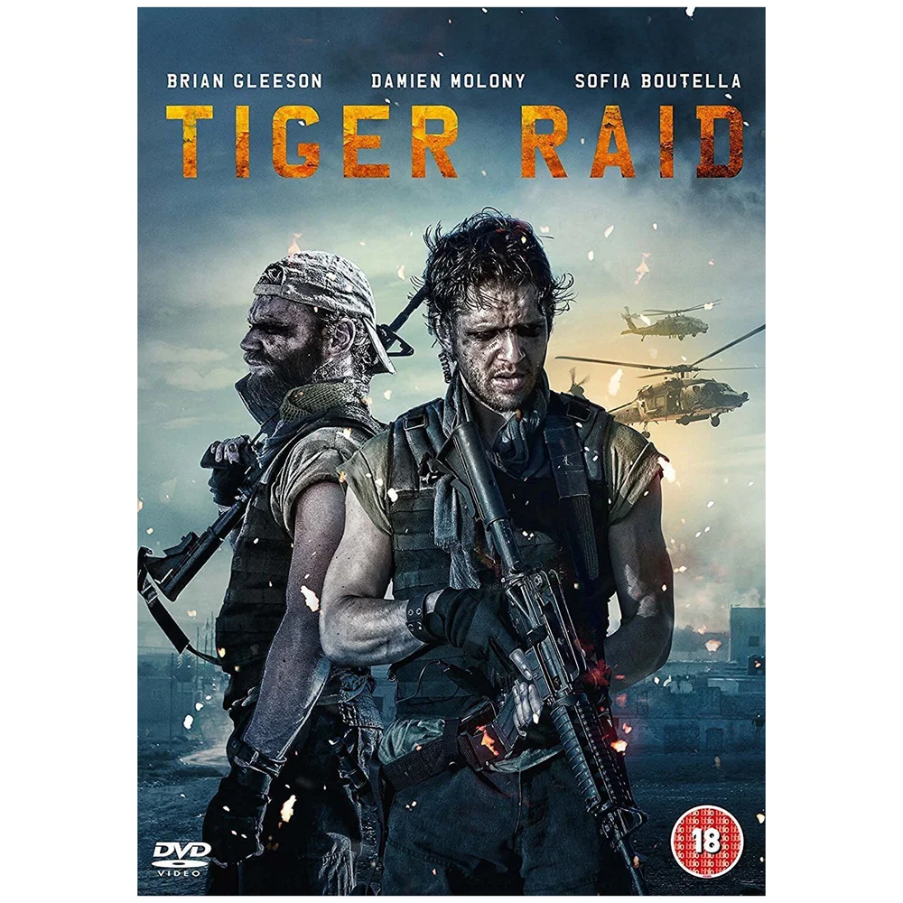 Tiger Raid Bild 1