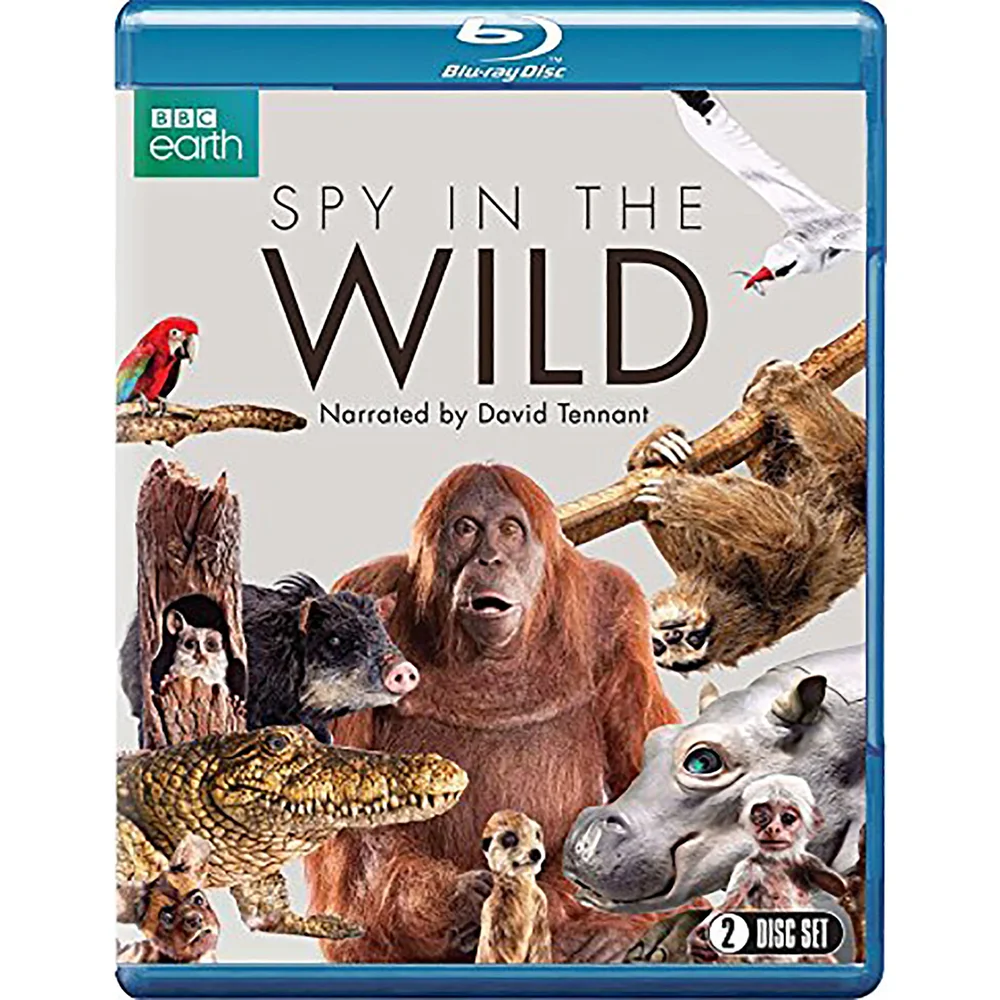 Spy in the Wild Bild 1