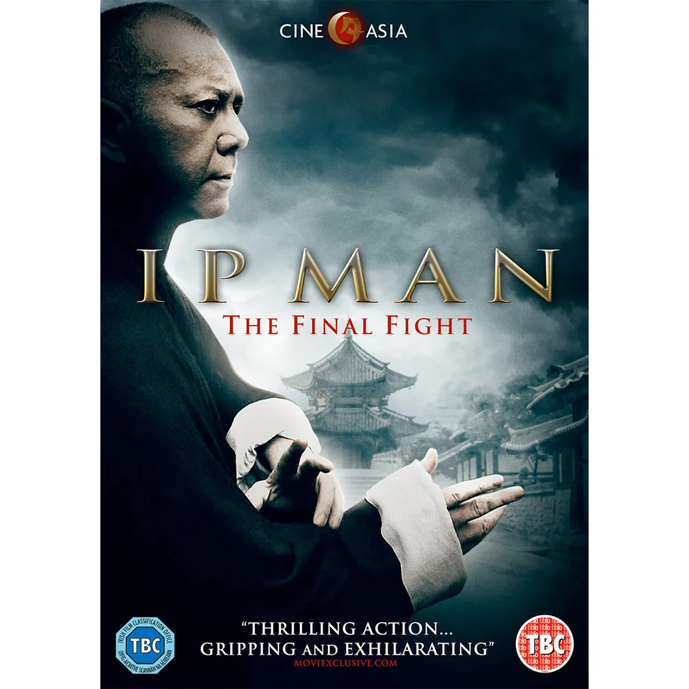IP Man - The Final Fight Bild 1