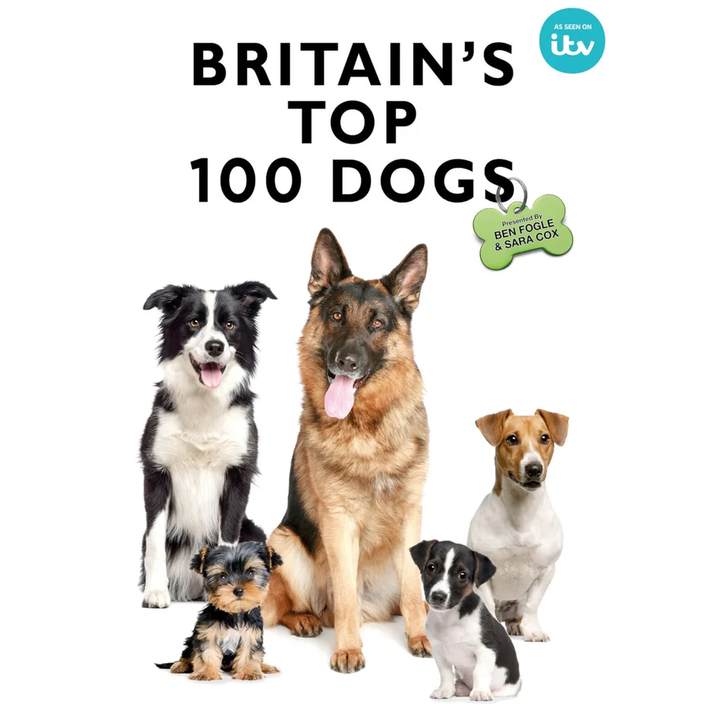 Großbritanniens Top-100-Hunde Bild 1