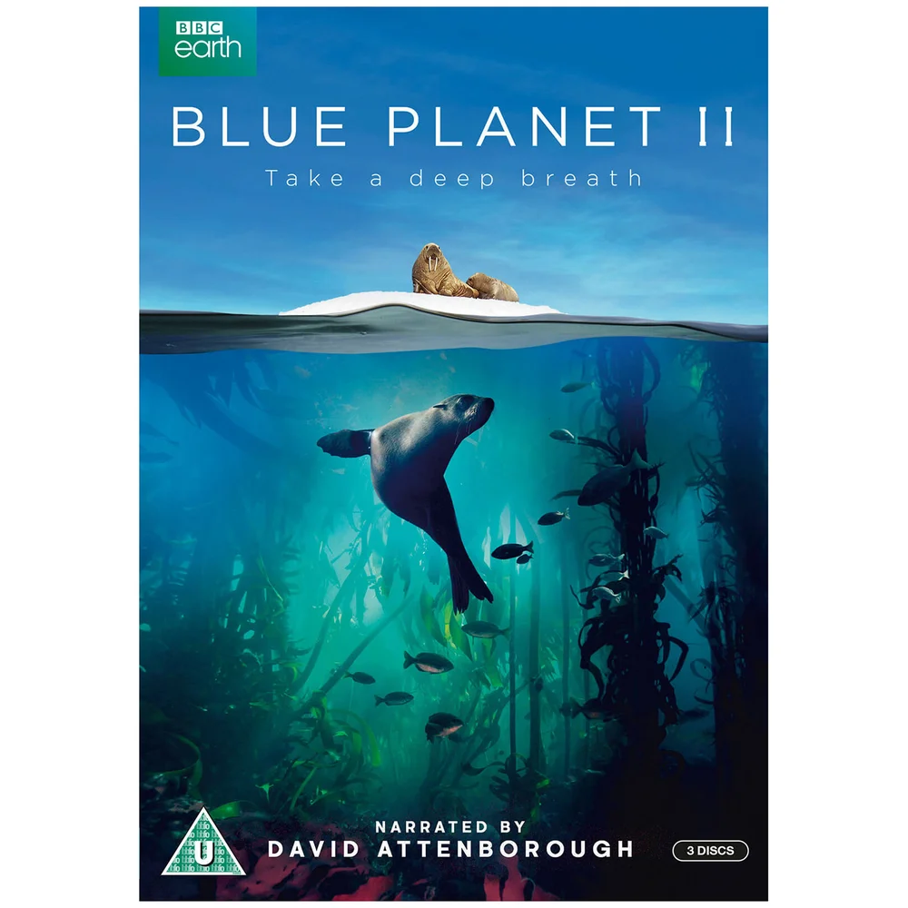 Blauer Planet II Bild 1