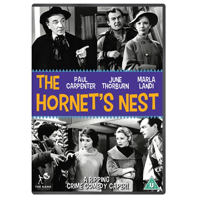 Das Hornissennest