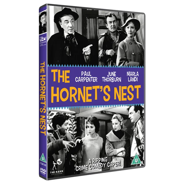 Das Hornissennest