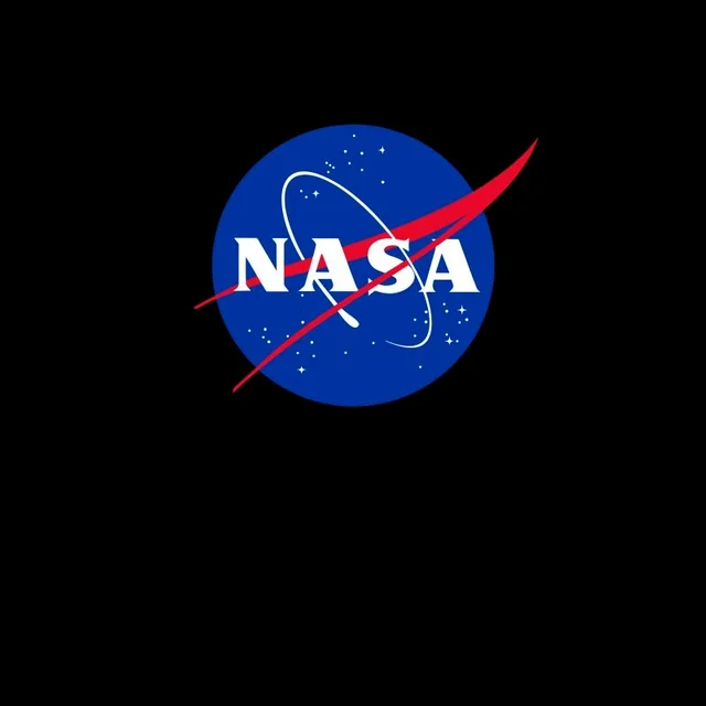 NASA Logo Insignia T-Shirt - Schwarz