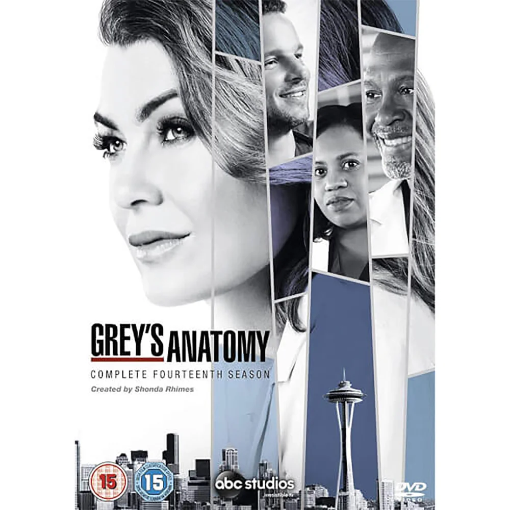 Grey's Anatomy Staffel 14 Bild 1