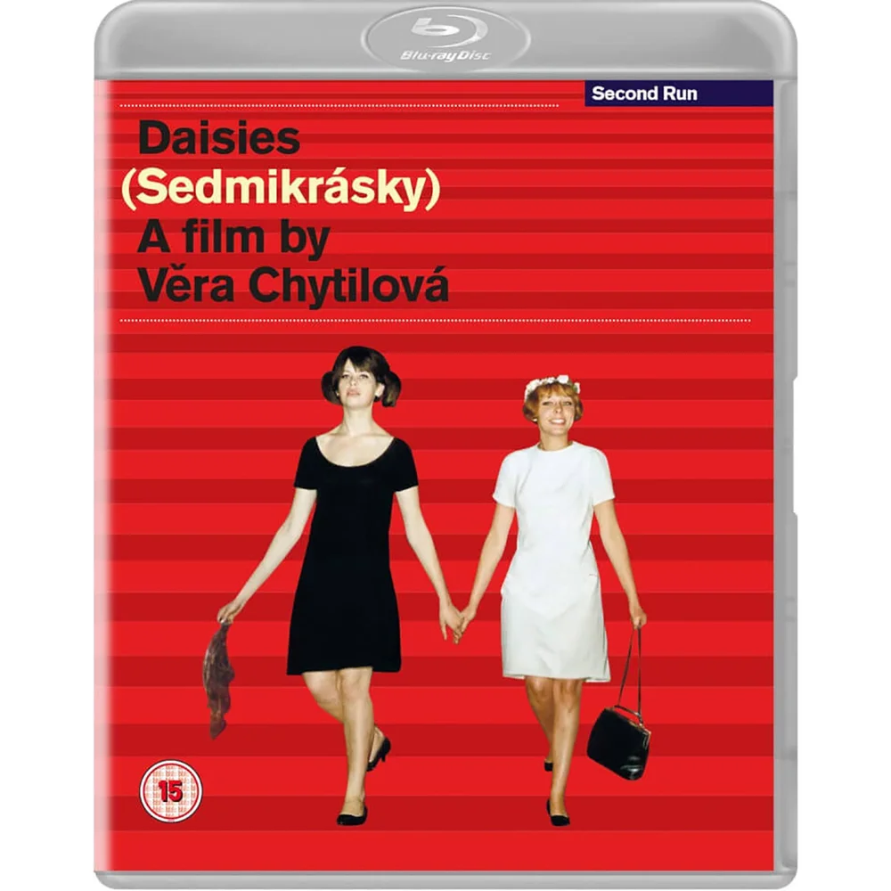 Gänseblümchen Bild 1