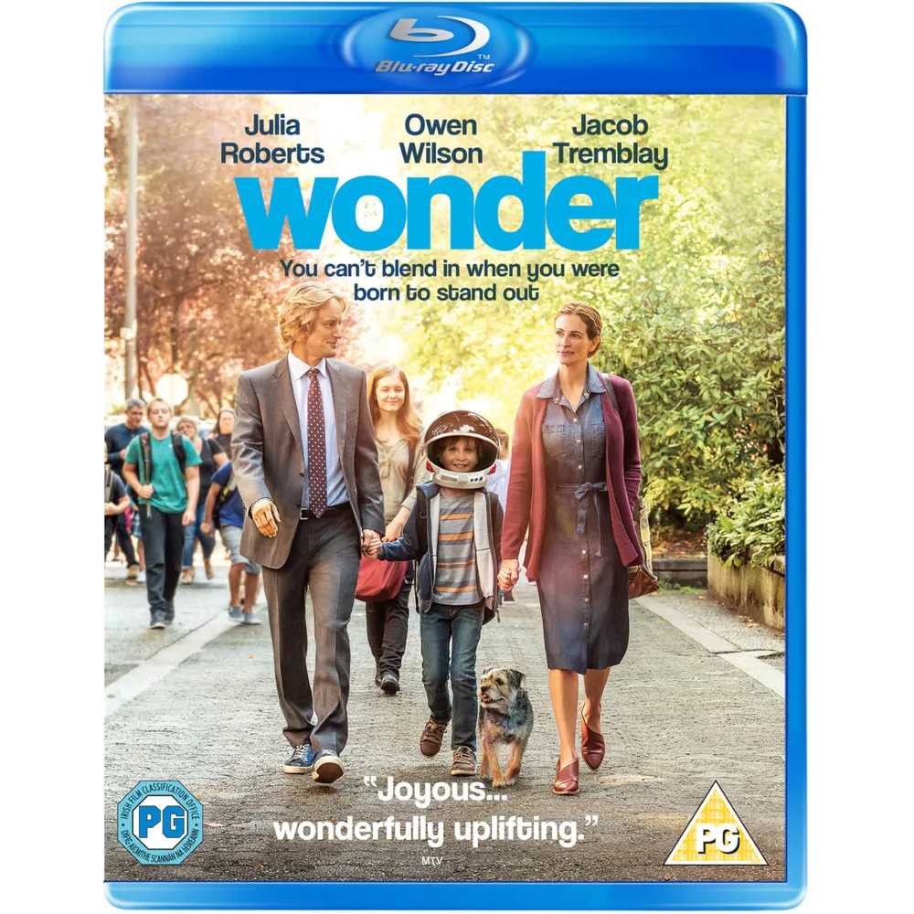 Wonder Bild 1