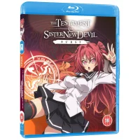 Testament der Schwester New Devil Burst