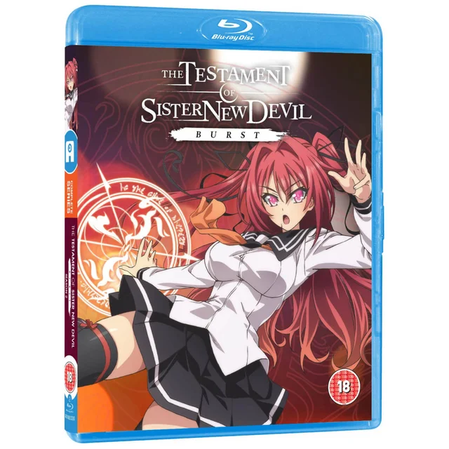 Testament der Schwester New Devil Burst