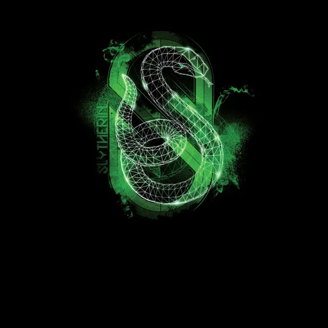 Harry Potter Slytherin Geometric Men's T-Shirt - Black