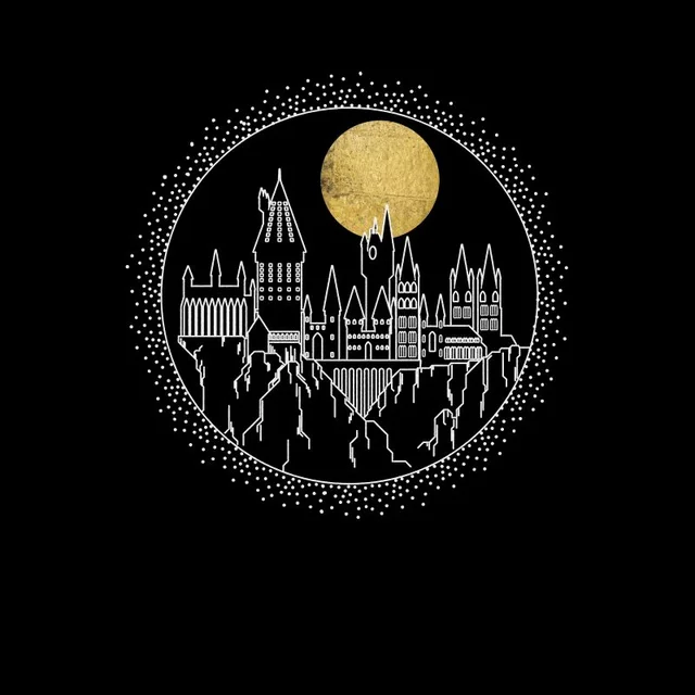 Harry Potter Hogwarts Castle Moon Men's T-Shirt - Black