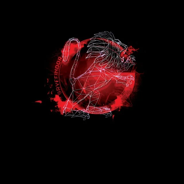 Harry Potter Gryffindor Geometric Men's T-Shirt - Black