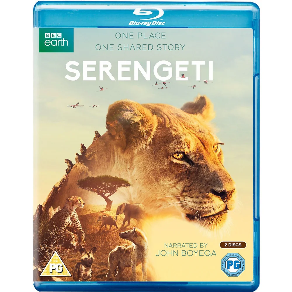 Serengeti Bild 1