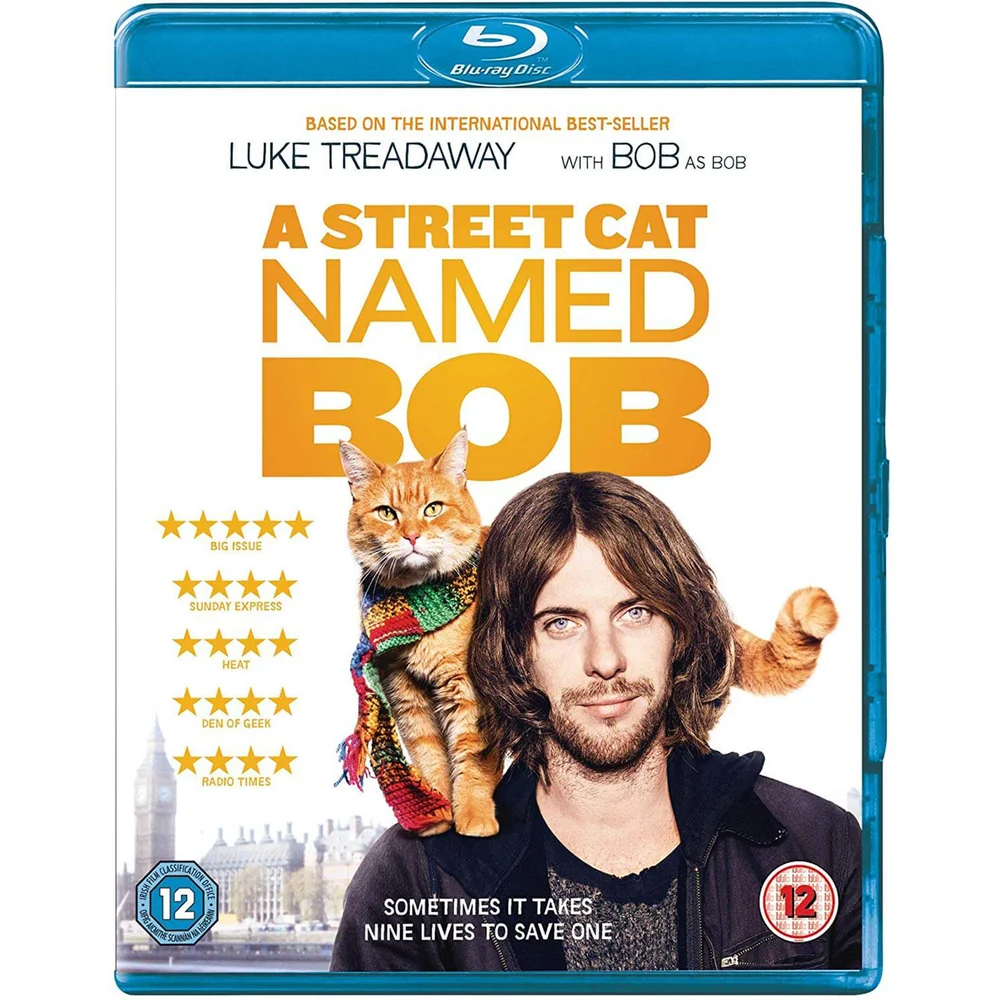 Eine Straßenkatze namens Bob Bild 1