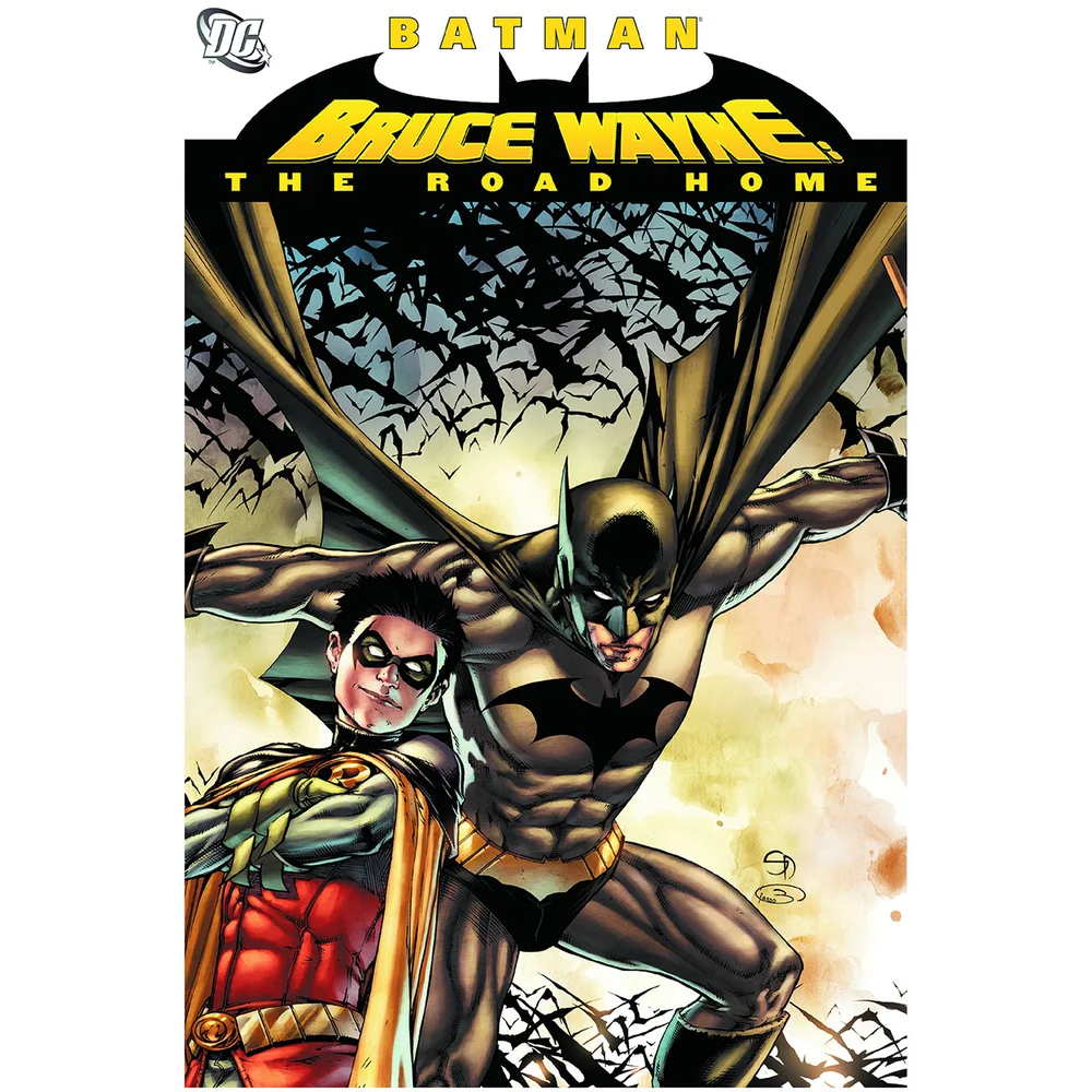 DC Comics Batman Bruce Wayne The Road Home Hard Cover Bild 1