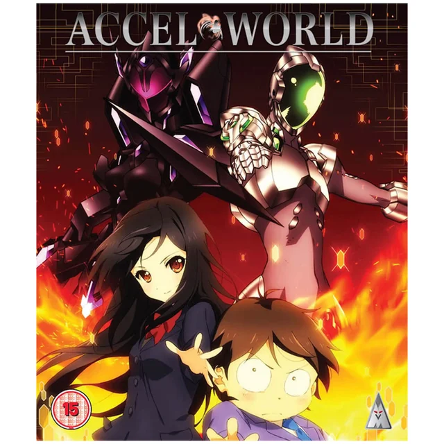 Accel World - Sammlung