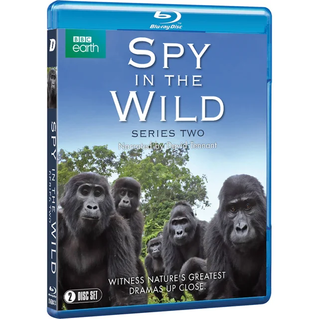 Spion in freier Wildbahn: Serie 2