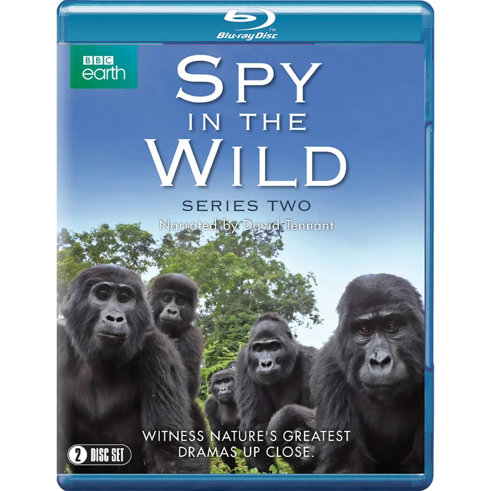 Spion in freier Wildbahn: Serie 2 Bild 1