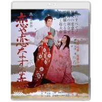 The Mad Fox - undefined undefined