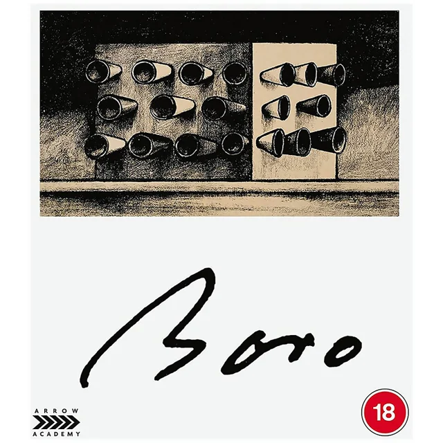 Camera Obscura: Die Sammlung Walerian Borowczyk