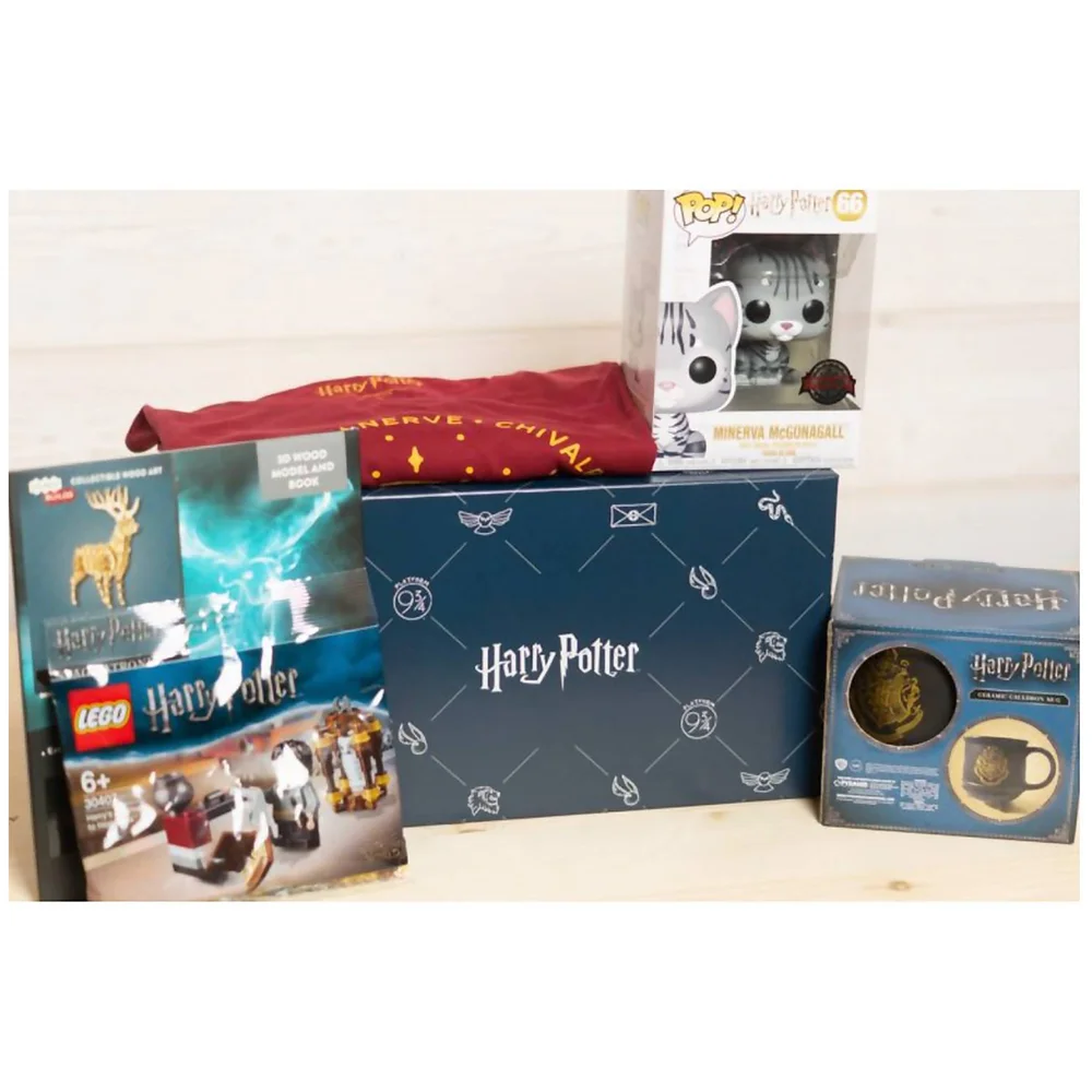 Wootbox Harry Potter feb19 Men's - XL FR Bild 1