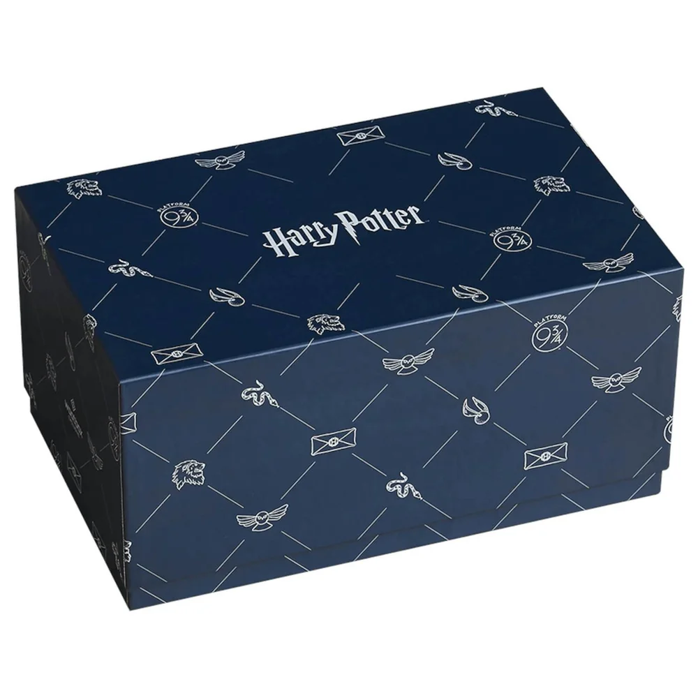 Wootbox Harry Potter Jun19 Men's - XL FR Bild 1