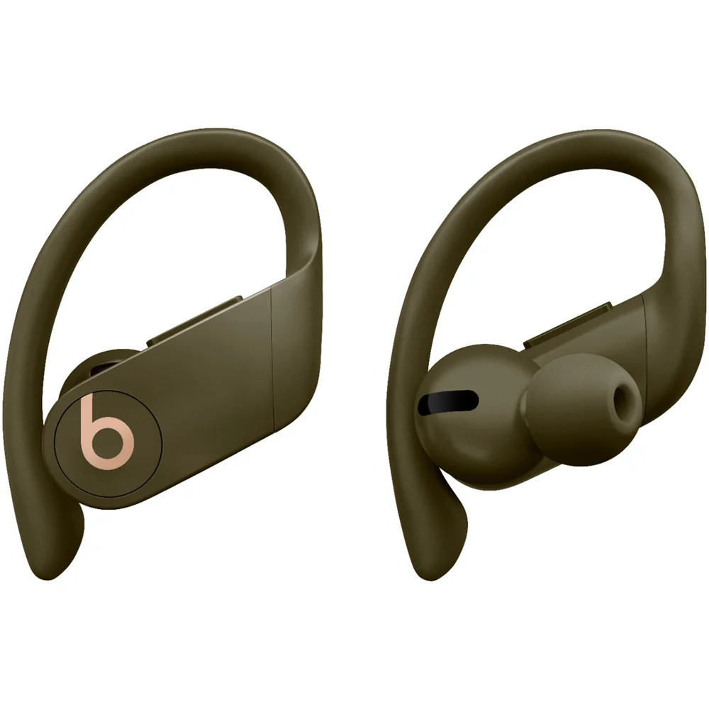 Beats Powerbeats Pro Totally Wireless Earphones - Moss Bild 1